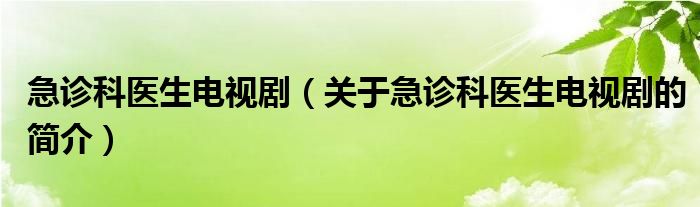 急診科醫(yī)生電視?。P(guān)于急診科醫(yī)生電視劇的簡介）