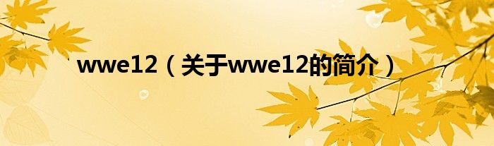 wwe12（關(guān)于wwe12的簡(jiǎn)介）