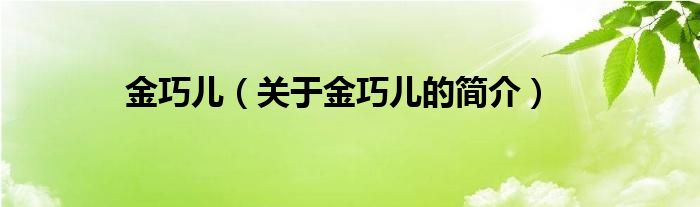 金巧兒（關(guān)于金巧兒的簡(jiǎn)介）