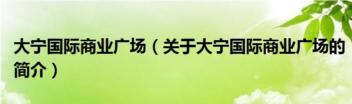 大寧國際商業(yè)廣場（關于大寧國際商業(yè)廣場的簡介）