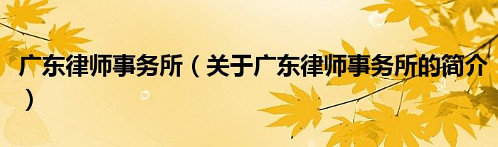 廣東律師事務(wù)所（關(guān)于廣東律師事務(wù)所的簡介）