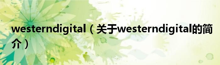 westerndigital（關(guān)于westerndigital的簡介）