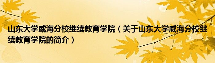 山東大學威海分校繼續(xù)教育學院（關于山東大學威海分校繼續(xù)教育學院的簡介）