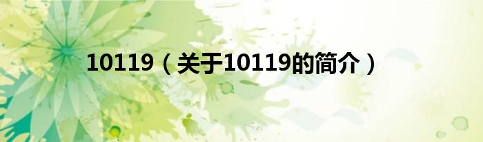 10119（關(guān)于10119的簡介）