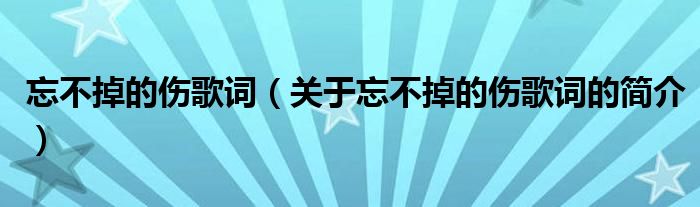 忘不掉的傷歌詞（關(guān)于忘不掉的傷歌詞的簡介）