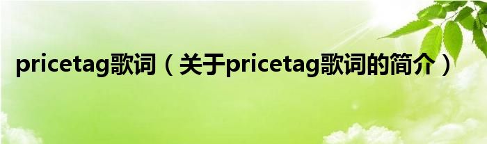 pricetag歌詞（關于pricetag歌詞的簡介）