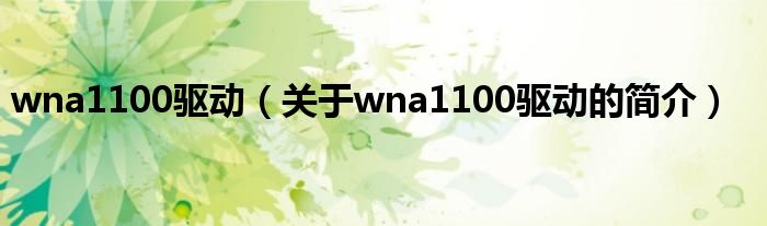 wna1100驅動（關于wna1100驅動的簡介）