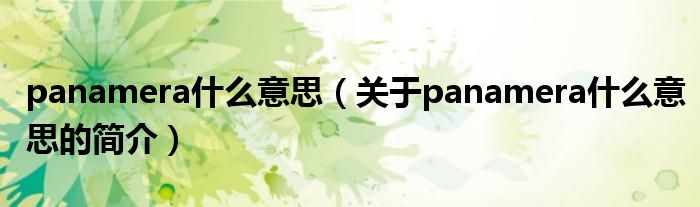 panamera什么意思（關于panamera什么意思的簡介）