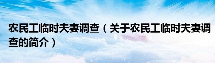 農(nóng)民工臨時夫妻調查（關于農(nóng)民工臨時夫妻調查的簡介）