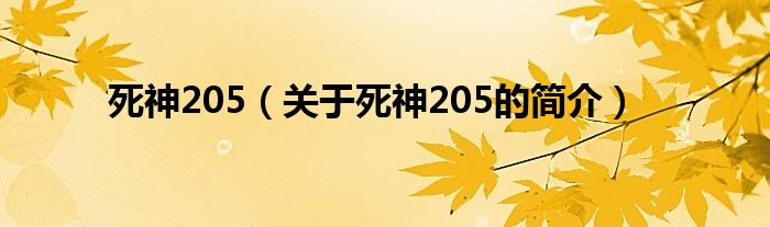 死神205（關(guān)于死神205的簡介）