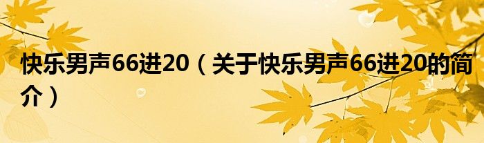 快樂男聲66進(jìn)20（關(guān)于快樂男聲66進(jìn)20的簡(jiǎn)介）