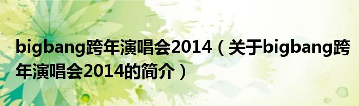 bigbang跨年演唱會2014（關(guān)于bigbang跨年演唱會2014的簡介）