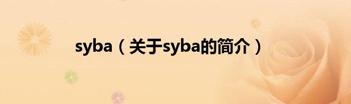 syba（關于syba的簡介）