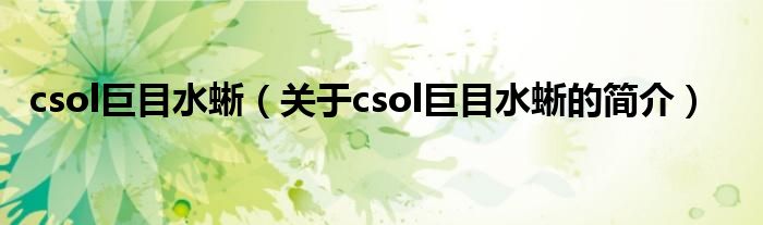 csol巨目水蜥（關(guān)于csol巨目水蜥的簡介）