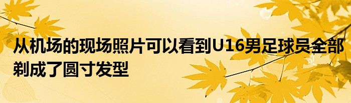 從機場的現場照片可以看到U16男足球員全部剃成了圓寸發(fā)型