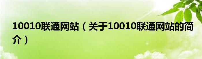 10010聯(lián)通網(wǎng)站（關(guān)于10010聯(lián)通網(wǎng)站的簡介）