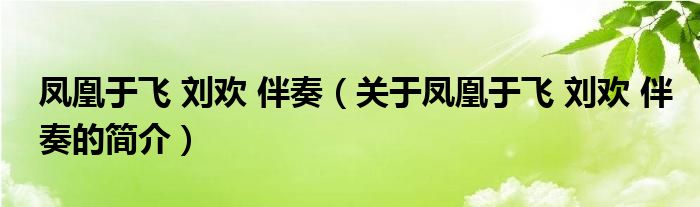 鳳凰于飛 劉歡 伴奏（關(guān)于鳳凰于飛 劉歡 伴奏的簡介）