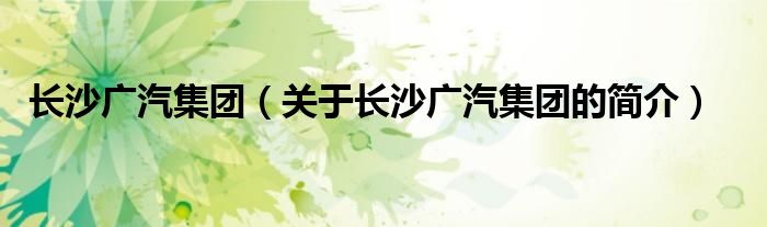 長沙廣汽集團（關于長沙廣汽集團的簡介）