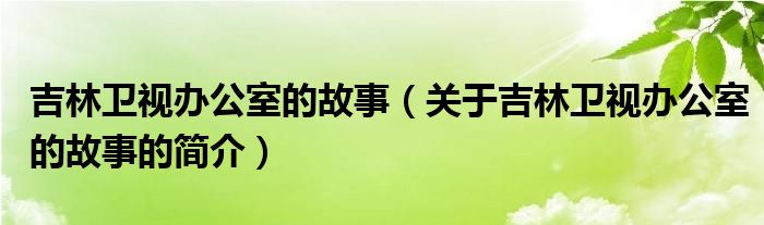 吉林衛(wèi)視辦公室的故事（關(guān)于吉林衛(wèi)視辦公室的故事的簡(jiǎn)介）