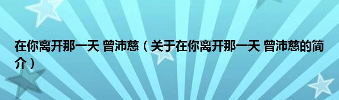 在你離開那一天 曾沛慈（關(guān)于在你離開那一天 曾沛慈的簡(jiǎn)介）