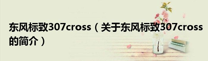 東風(fēng)標(biāo)致307cross（關(guān)于東風(fēng)標(biāo)致307cross的簡介）