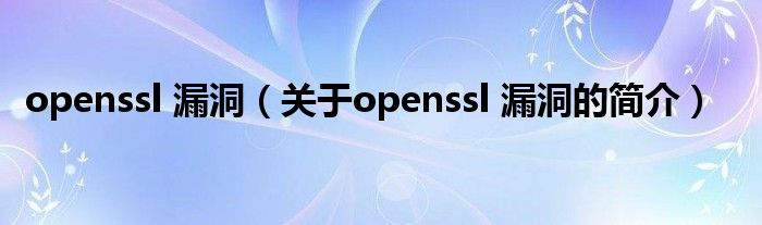 openssl 漏洞（關(guān)于openssl 漏洞的簡介）