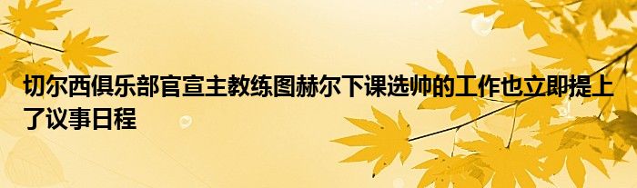 切爾西俱樂部官宣主教練圖赫爾下課選帥的工作也立即提上了議事日程