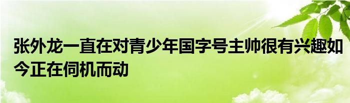 張外龍一直在對青少年國字號主帥很有興趣如今正在伺機而動