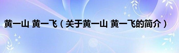 黃一山 黃一飛（關(guān)于黃一山 黃一飛的簡(jiǎn)介）