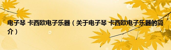 電子琴 卡西歐電子樂器（關(guān)于電子琴 卡西歐電子樂器的簡介）