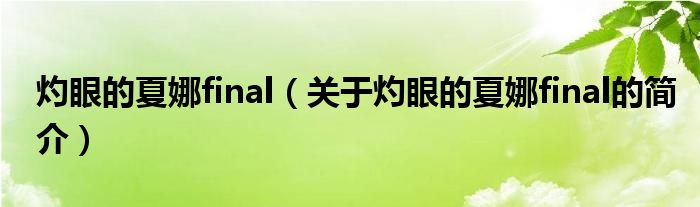 灼眼的夏娜f(wàn)inal（關(guān)于灼眼的夏娜f(wàn)inal的簡(jiǎn)介）