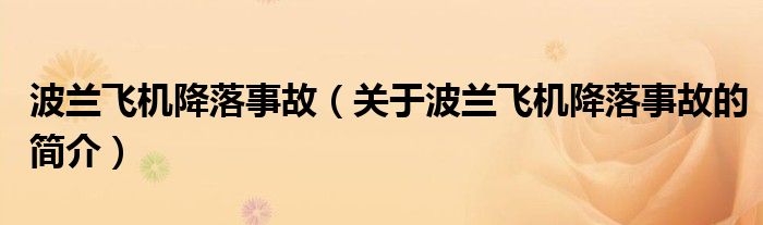 波蘭飛機降落事故（關于波蘭飛機降落事故的簡介）