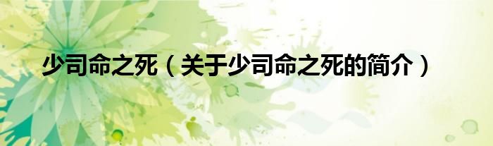 少司命之死（關(guān)于少司命之死的簡(jiǎn)介）