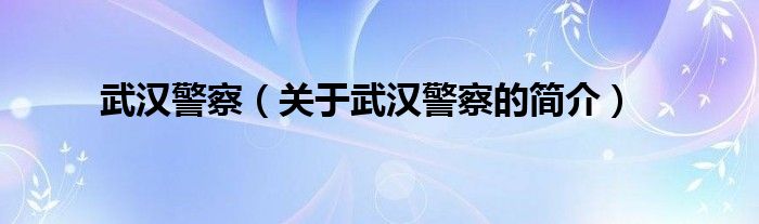 武漢警察（關(guān)于武漢警察的簡介）