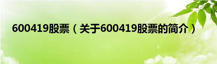 600419股票（關(guān)于600419股票的簡介）