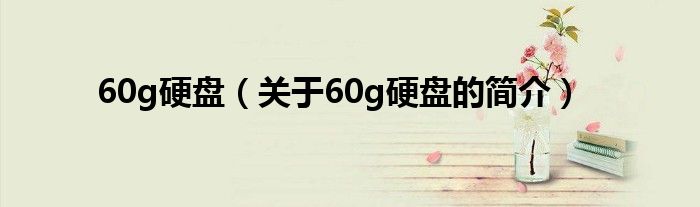 60g硬盤（關(guān)于60g硬盤的簡(jiǎn)介）