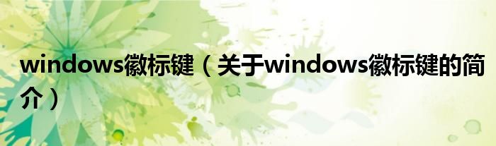 windows徽標(biāo)鍵（關(guān)于windows徽標(biāo)鍵的簡介）