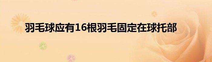 羽毛球應(yīng)有16根羽毛固定在球托部