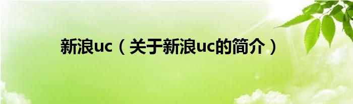 新浪uc（關(guān)于新浪uc的簡(jiǎn)介）