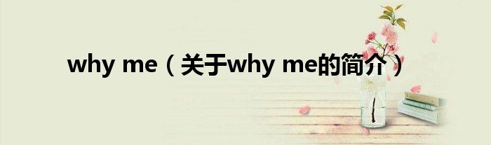 why me（關(guān)于why me的簡(jiǎn)介）