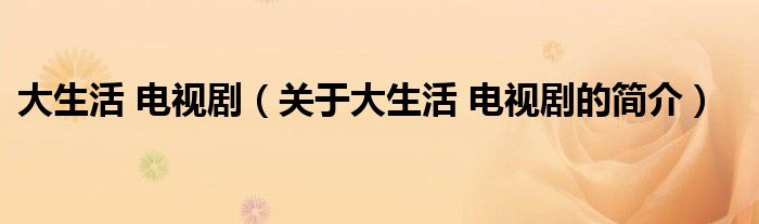 大生活 電視?。P(guān)于大生活 電視劇的簡(jiǎn)介）