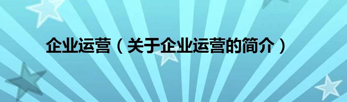 企業(yè)運(yùn)營(yíng)（關(guān)于企業(yè)運(yùn)營(yíng)的簡(jiǎn)介）