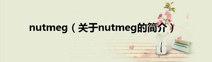 nutmeg（關(guān)于nutmeg的簡(jiǎn)介）