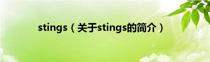 stings（關(guān)于stings的簡(jiǎn)介）