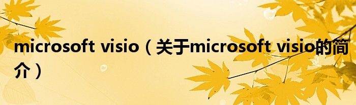 microsoft visio（關(guān)于microsoft visio的簡介）