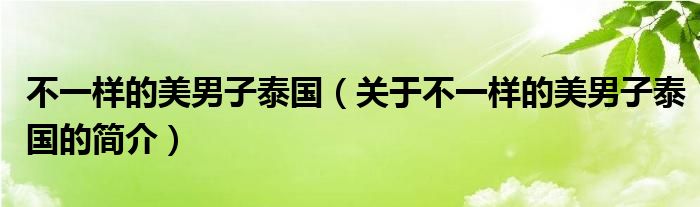 不一樣的美男子泰國(guó)（關(guān)于不一樣的美男子泰國(guó)的簡(jiǎn)介）