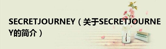 SECRETJOURNEY（關(guān)于SECRETJOURNEY的簡(jiǎn)介）