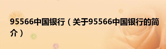 95566中國銀行（關于95566中國銀行的簡介）