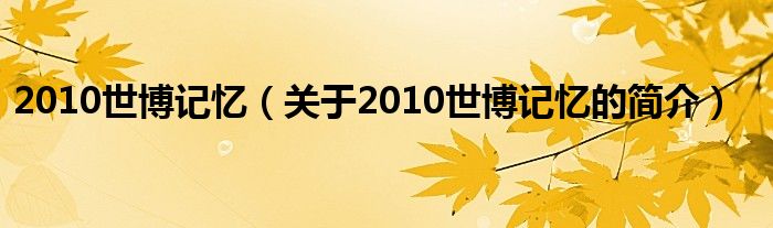 2010世博記憶（關于2010世博記憶的簡介）