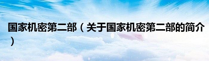 國家機(jī)密第二部（關(guān)于國家機(jī)密第二部的簡(jiǎn)介）